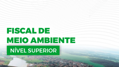 Apostila Prefeitura Leopoldo Bulhões GO 2024 Fisc Meio Ambiente