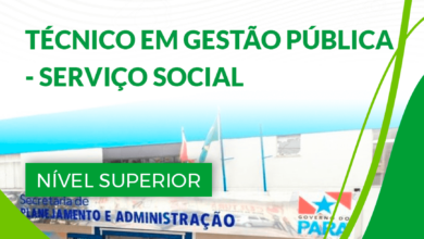 Apostila SEPLAD PA 2024 Técnico Em Gestão Pública Serviço Social