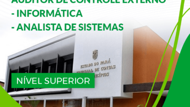 Apostila TCE PA 2024 Auditor Cont Externo INF Analista Sistemas