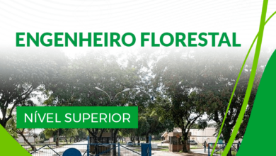 Apostila UFAL 2024 Engenheiro Florestal