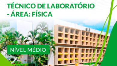 Apostila UFMT 2024 Técnico de Laboratório Física