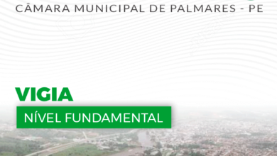 Apostila Câmara Palmares PE 2024 Vigia