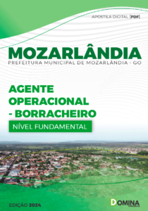 Apostila Borracheiro Mozarlândia GO 2024