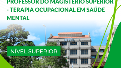 Apostila Professor Terapia Ocupac Saúde Mental UFPel RS 2024