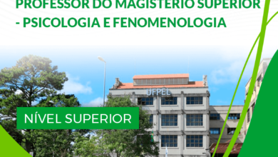 Apostila Professor de Psicologia UFPel RS 2024