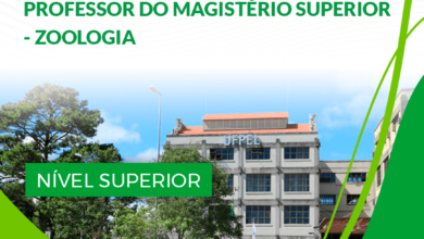 Apostila Professor de Zoologia UFPel RS 2024