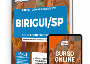 Apostila Prefeitura de Birigui – SP – Educador de Creche