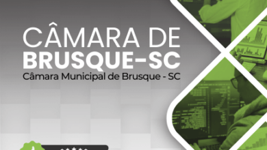 Apostila Analista de TI Câmara Brusque SC 2024