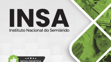 Apostila Pesquisador Adjunto I Gestão da Informação INSA 2024