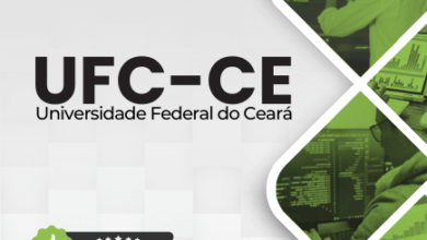 Apostila Técnico TI Desenvolvimento Front END UFC CE 2024