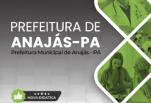 Novo Material: Apostila Agente Combate às Endemias Anajás PA 2025