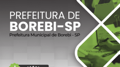 Novo Material: Apostila Controlador Interno Borebi SP 2025