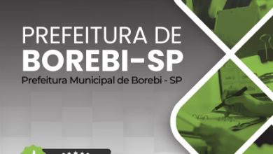 Novo Material: Apostila Coordenador Educacional Borebi SP 2025