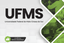 Novo Material: Apostila Analista de TI Desenvolvimento de Software UFMS 2025