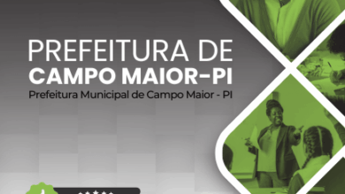 Novo Material: Apostila Professor EJA Campo Maior PI 2025