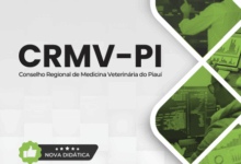 Novo Material: Apostila Analista Gestão Tecnologia Informação CRMV PI 2025