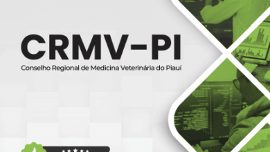 Novo Material: Apostila Analista Gestão Tecnologia Informação CRMV PI 2025