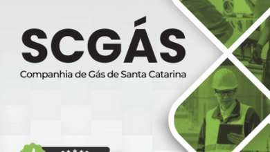 Novo Material: Apostila Analista Organizacional SCGás 2025