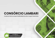 Novo Material: Apostila Analista Técnico I Consórcio Lambari SC 2025