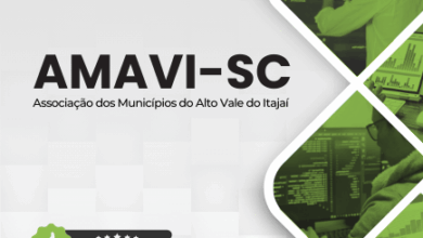 Novo Material: Apostila Analista de Sistemas AMAVI SC 2025