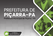 Novo Material: Apostila Professor Educação Campo Piçarra PA 2025