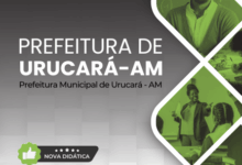 Novo Material: Apostila Professor Ensino Fundamental I Urucará AM 2025