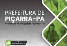 Novo Material: Apostila Psicólogo Piçarra PA 2025