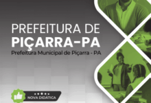 Novo Material: Apostila Psicopedagogo Piçarra PA 2025