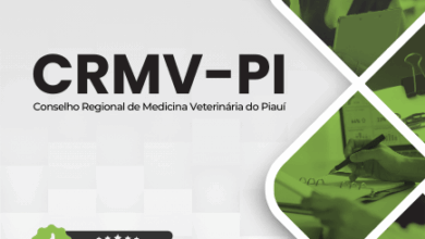 Novo Material: Apostila Técnico Administrativo CRMV PI 2025