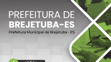 Novo Material: Apostila Técnico em Informática Brejetuba ES 2025