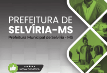 Apostila Professor de Educação Infantil: Educação Física em Selvíria MS 2025