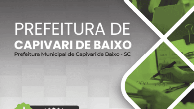 Descubra a Apostila Artesão 2025: Transforme seu Talento em Capivari de Baixo SC!