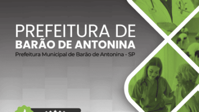 Apostila Médico ESF Barão de Antonina SP: Diretrizes e Atualizações 2025