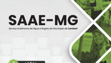 Apostila Pedreiro SAAE Lambari MG 2025: Descubra Segredos e Técnicas de Construção!