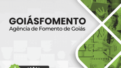 Apostila do Engenheiro Agrônomo Goiás: Fomento e Inovações para 2025