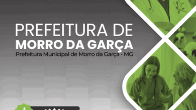 Descubra a Apostila do Agente de Combate a Endemias: Morro da Garça MG 2025