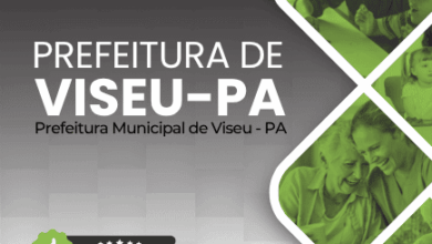 Apostila Profissional: Cuidador de Crianças Especiais – Viseu PA 2025