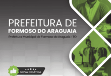 Apostila do Professor de Educação Infantil – Formoso do Araguaia TO 2025