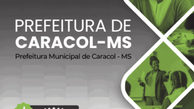 Apostila do Professor de Educação Infantil: Regente Caracol/MS 2025 – Guia Completo