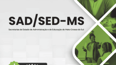 Apostila para Professores de Educação Infantil – SAD SED MS 2025: Orientações e Recursos
