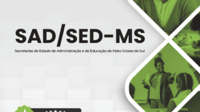 Apostila para Professores dos Anos Iniciais – SAD SED MS 2025: Orientações e Recursos