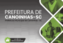 Domine o Inglês: Apostila do Professor de Canoinhas SC 2025 para seu Sucesso!