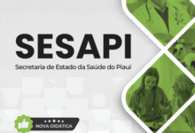 Apostila Médico: Medicina do Trabalho SESAPI 2026 – Diretrizes e Práticas Atualizadas
