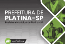 Apostila Profissional Agente de Desenvolvimento Infantil – Platina SP 2026