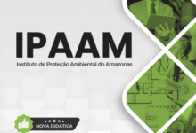 Apostila de Geologia para Analista Ambiental do IPAAM 2026: Conteúdos e Diretrizes