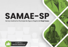 Apostila do Psicólogo: Guia Profissional para Samae em Mogi Guaçu – 2026 Apostila do Psicólogo: Guia Profissional para Samae em Mogi Guaçu – 2026