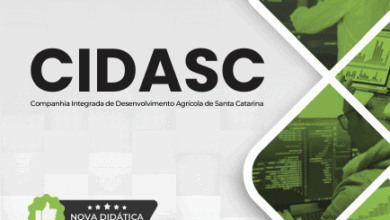 Domine a Apostila CIDASC 202: Torne-se um Analista de Tecnologia em Sistemas!