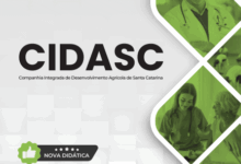 Transforme sua Carreira: Apostila Psicólogo CIDASC 2026 para Sucesso Profissional