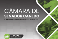 Apostila Técnica de Informática para o Concurso da Câmara de Senador Canedo – 2026 Apostila Técnica de Informática para o Concurso da Câmara de Senador Canedo – 2026