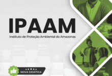 Apostila do Analista Ambiental: Pedagogia e Práticas para o IPAAM 2026